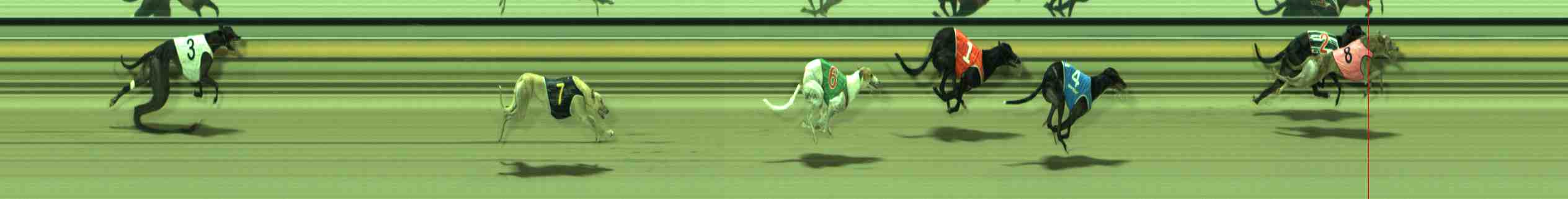 Photo finish for Sale Race 4