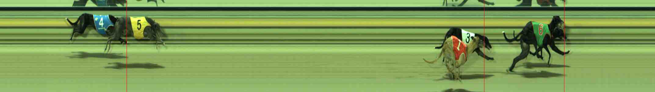 Photo finish for Sale Race 5