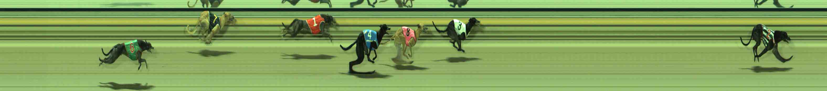 Photo finish for Sale Race 6