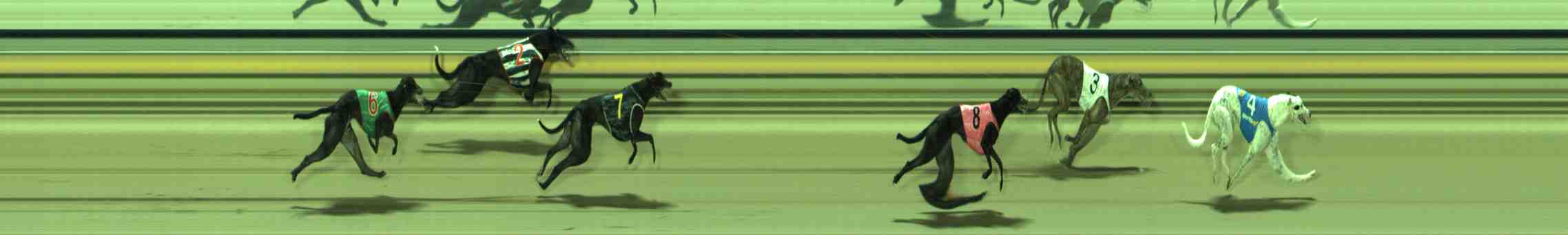Photo finish for Sale Race 7