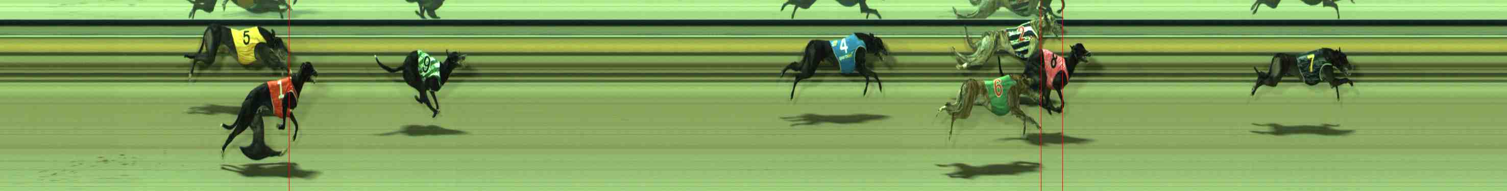 Photo finish for Sale Race 8