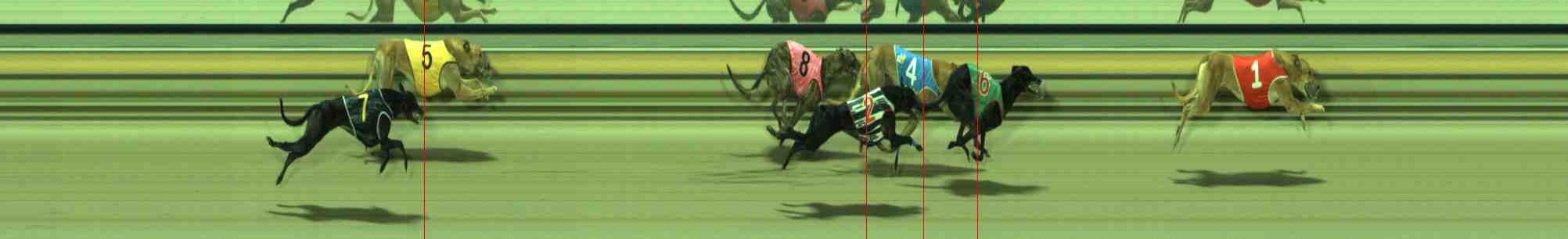 Photo finish for Sale Race 9