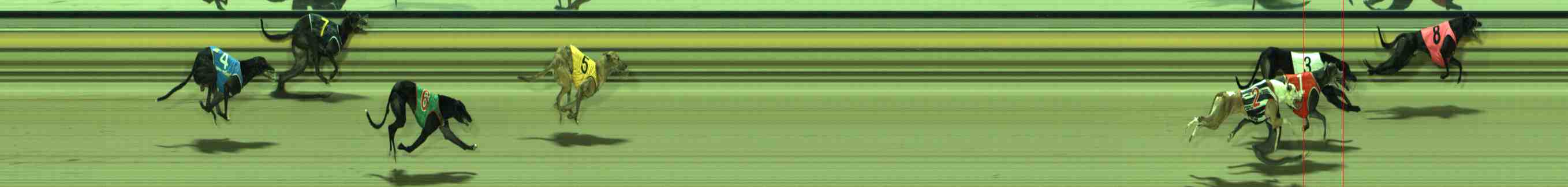 Photo finish for Sale Race 10