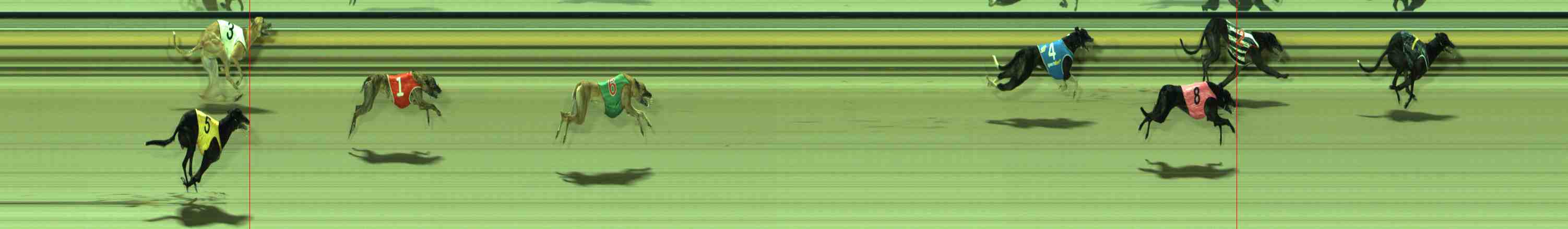 Photo finish for Sale Race 11