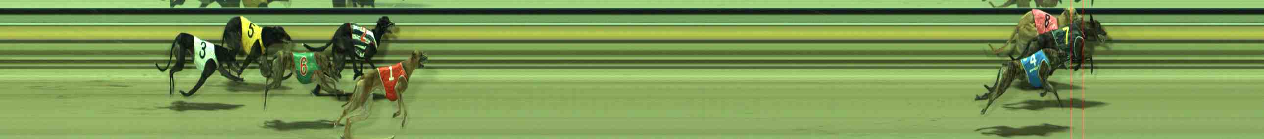 Photo finish for Sale Race 12