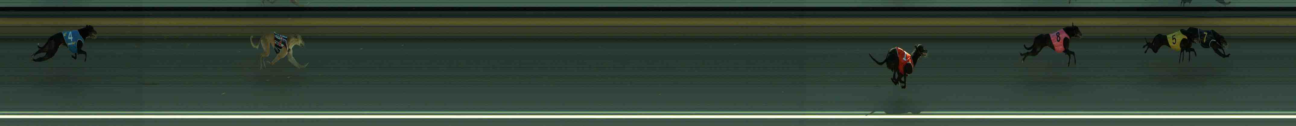 Photo finish for Sale Race 3