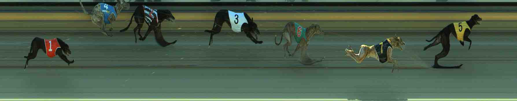 Photo finish for Sale Race 5