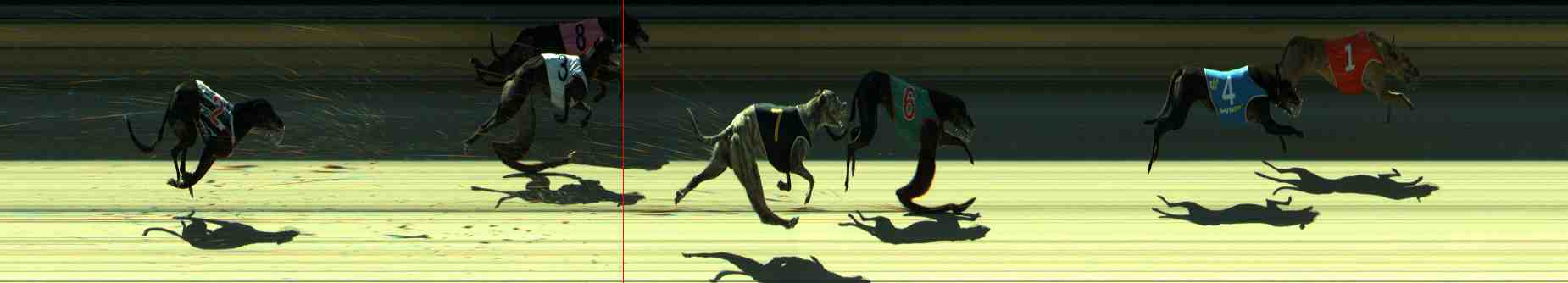 Photo finish for Sale Race 7