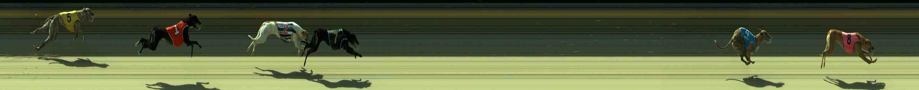 Photo finish for Sale Race 9
