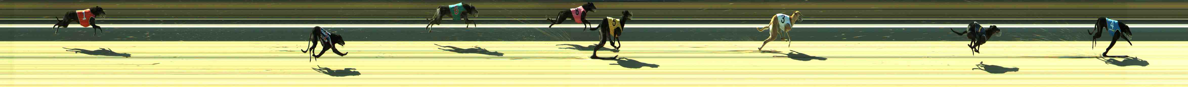 Photo finish for Sale Race 12
