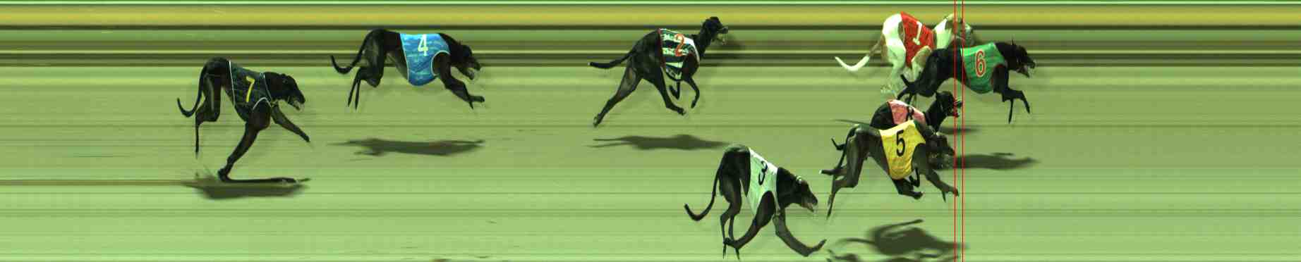 Photo finish for Sale Race 10