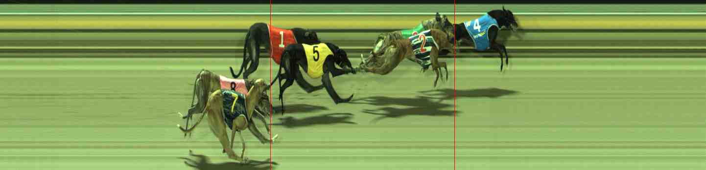 Photo finish for Sale Race 11