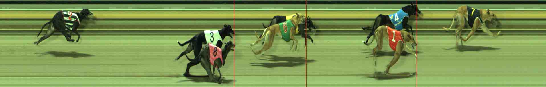 Photo finish for Sale Race 12