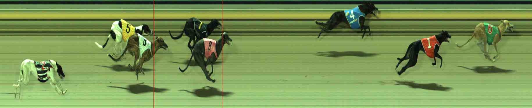 Photo finish for Sale Race 3