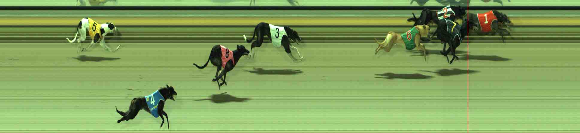Photo finish for Sale Race 4