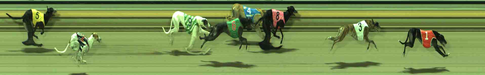 Photo finish for Sale Race 6