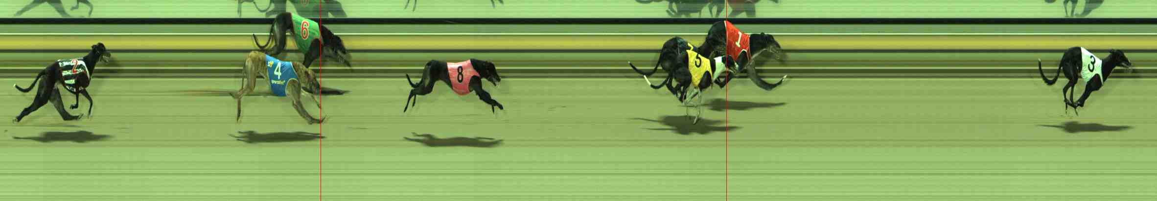 Photo finish for Sale Race 7