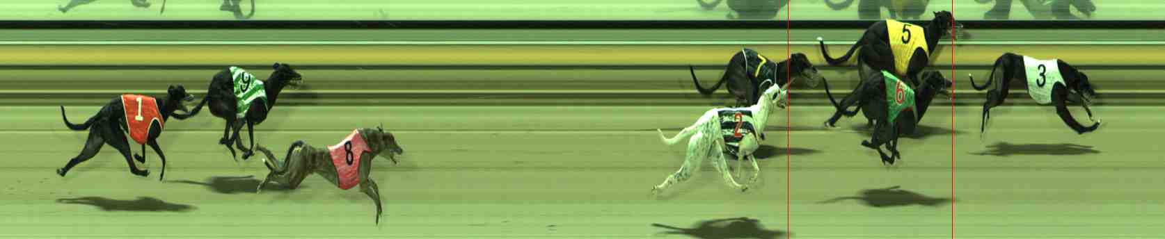 Photo finish for Sale Race 8