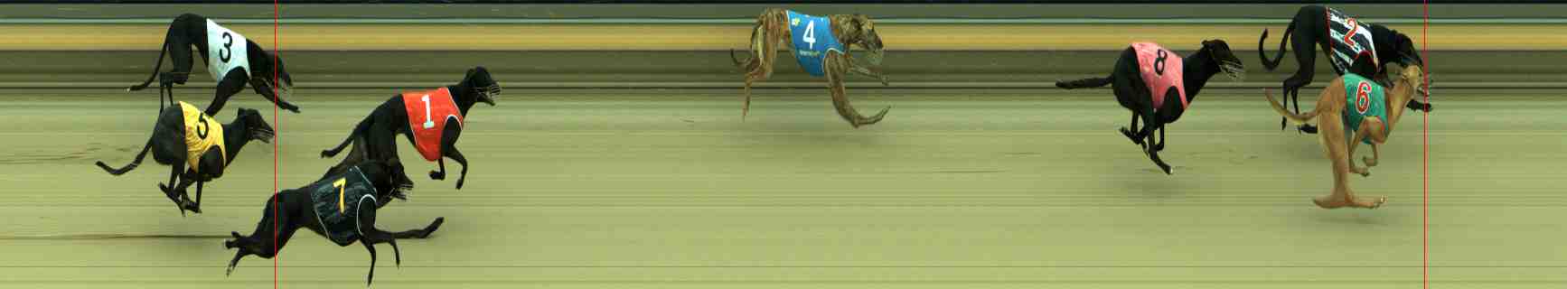 Photo finish for Sale Race 2