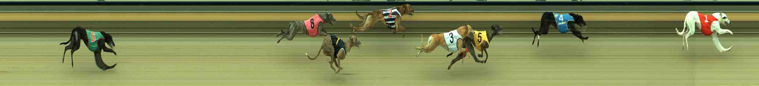 Photo finish for Sale Race 3