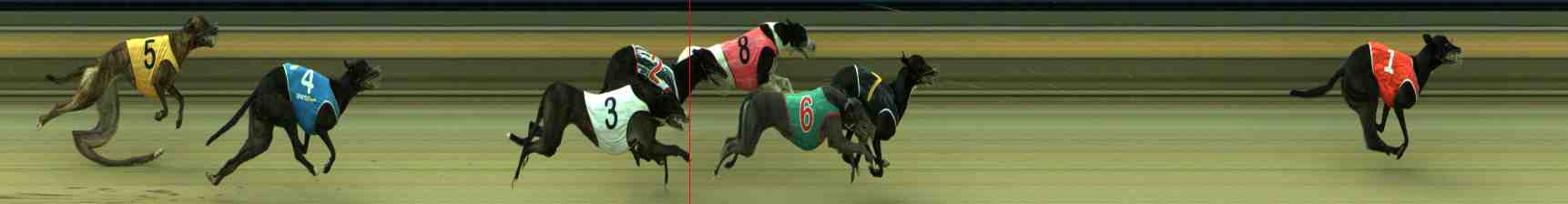 Photo finish for Sale Race 4