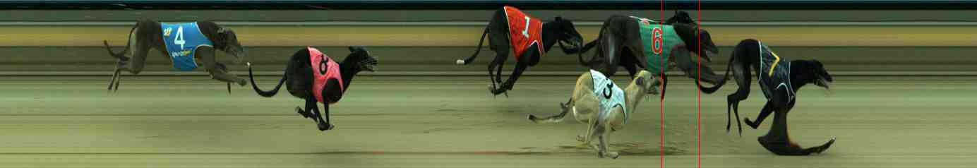 Photo finish for Sale Race 5