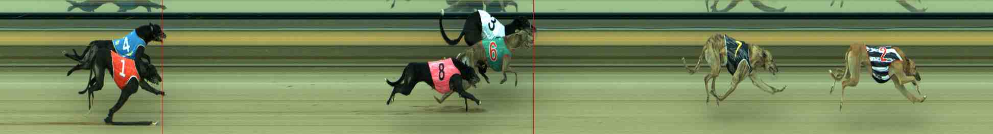 Photo finish for Sale Race 6