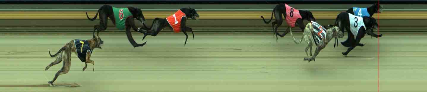 Photo finish for Sale Race 7