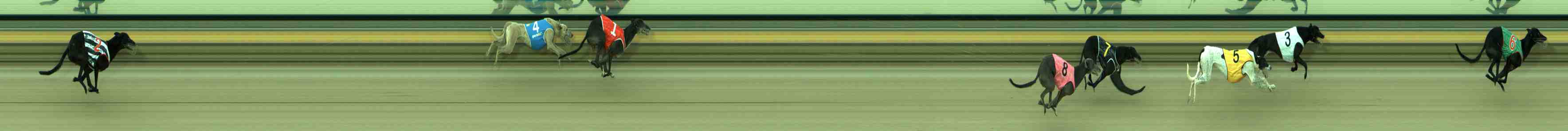 Photo finish for Sale Race 8