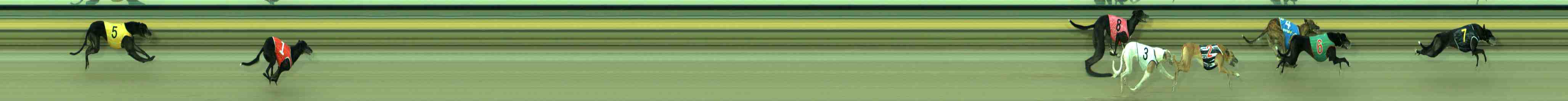Photo finish for Sale Race 9