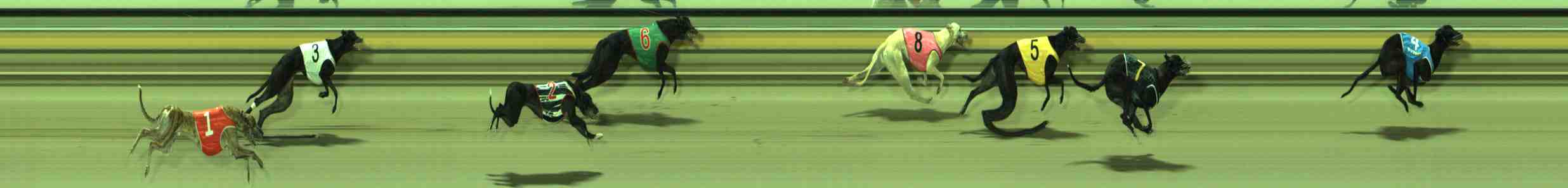 Photo finish for Sale Race 11