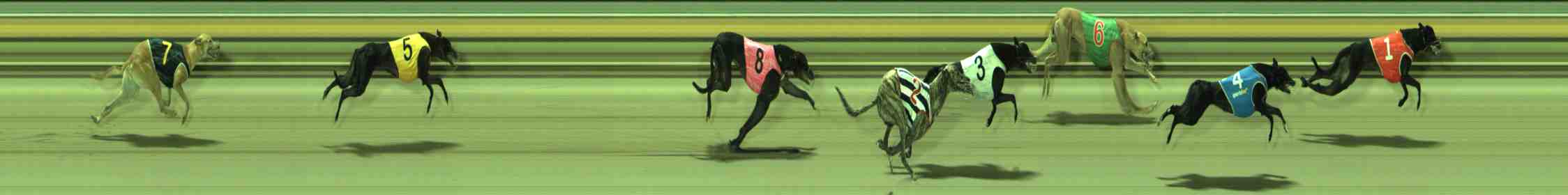 Photo finish for Sale Race 12