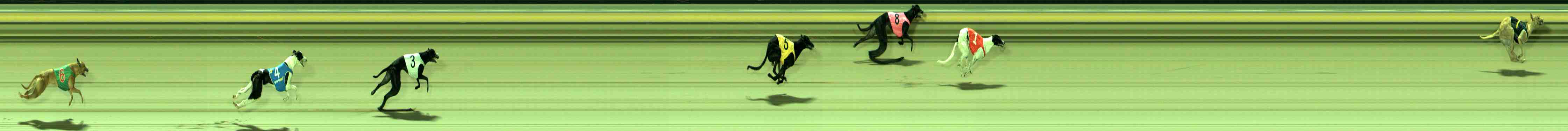 Photo finish for Sale Race 2