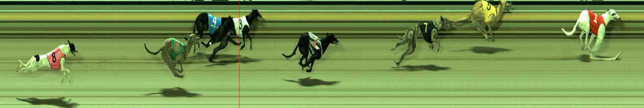 Photo finish for Sale Race 3