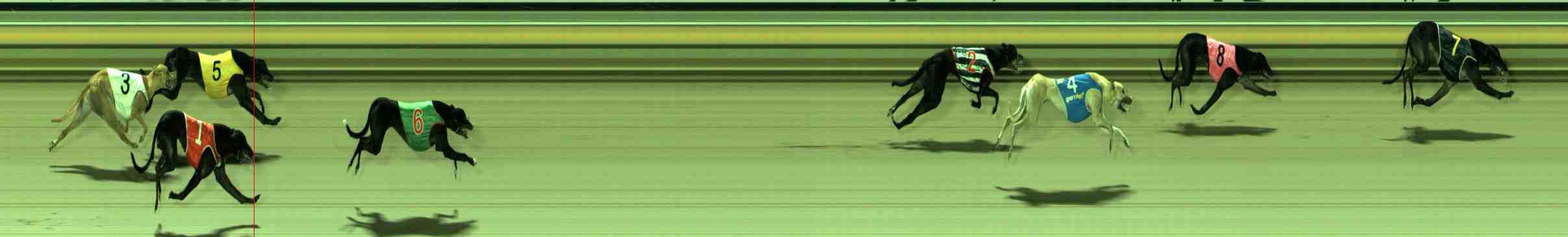 Photo finish for Sale Race 6