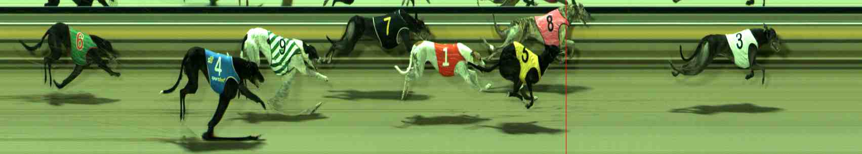 Photo finish for Sale Race 7