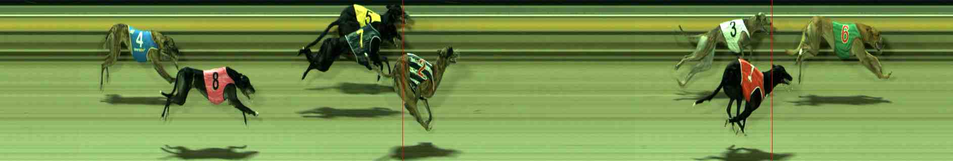 Photo finish for Sale Race 8