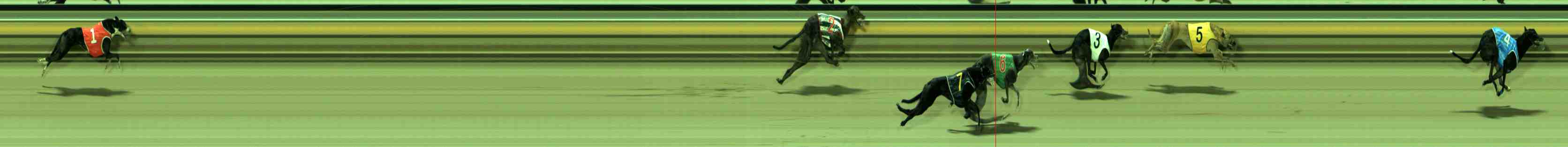 Photo finish for Sale Race 9