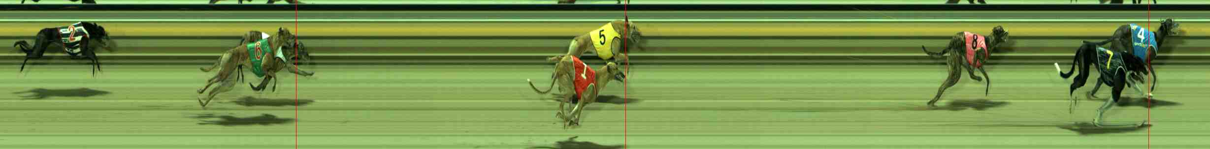 Photo finish for Sale Race 10