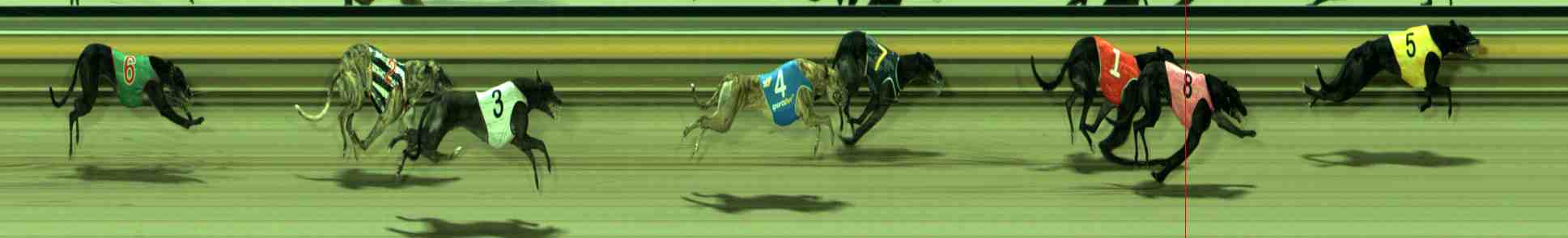 Photo finish for Sale Race 11