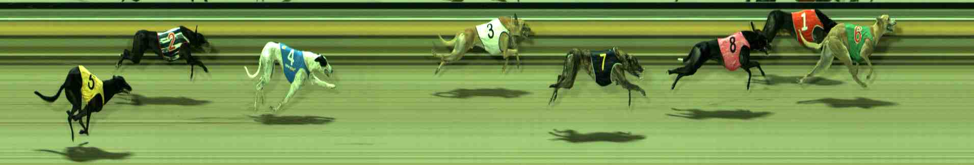 Photo finish for Sale Race 12