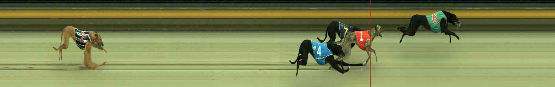 Photo finish for Sale Race 2