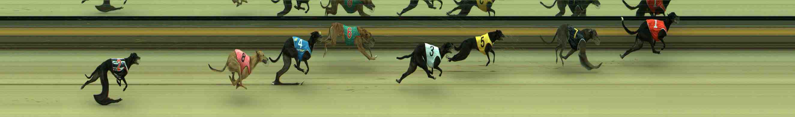 Photo finish for Sale Race 3