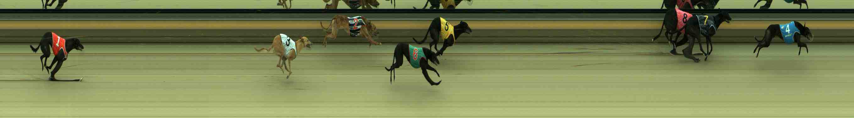 Photo finish for Sale Race 4