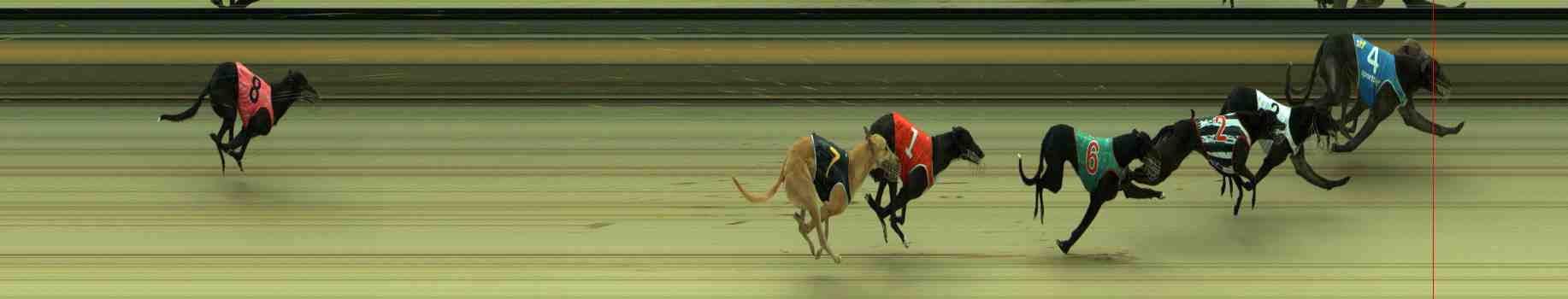 Photo finish for Sale Race 5
