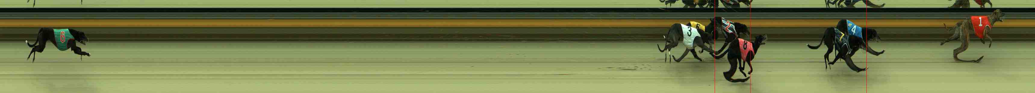 Photo finish for Sale Race 6