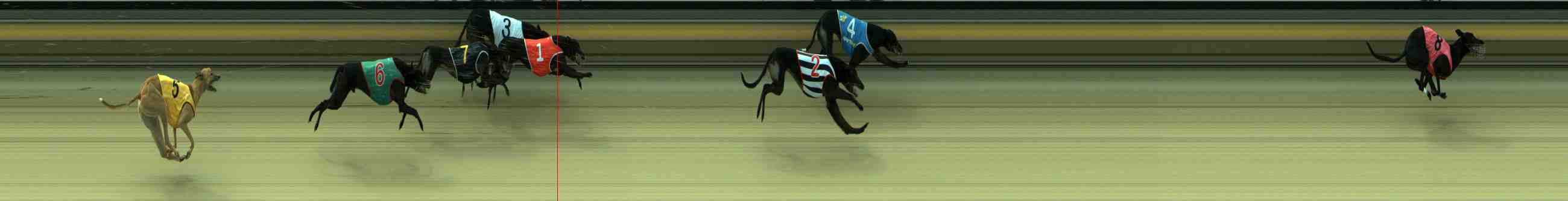 Photo finish for Sale Race 7