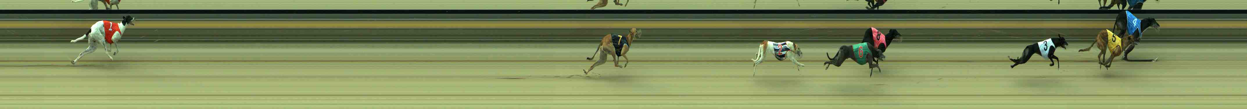 Photo finish for Sale Race 8