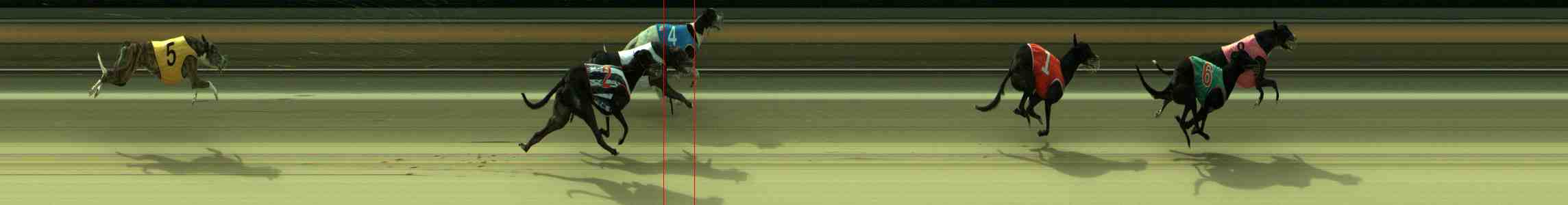 Photo finish for Sale Race 9