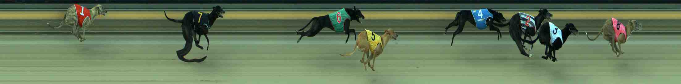 Photo finish for Sale Race 10